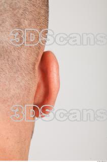 Ear texture of Dale 0002
